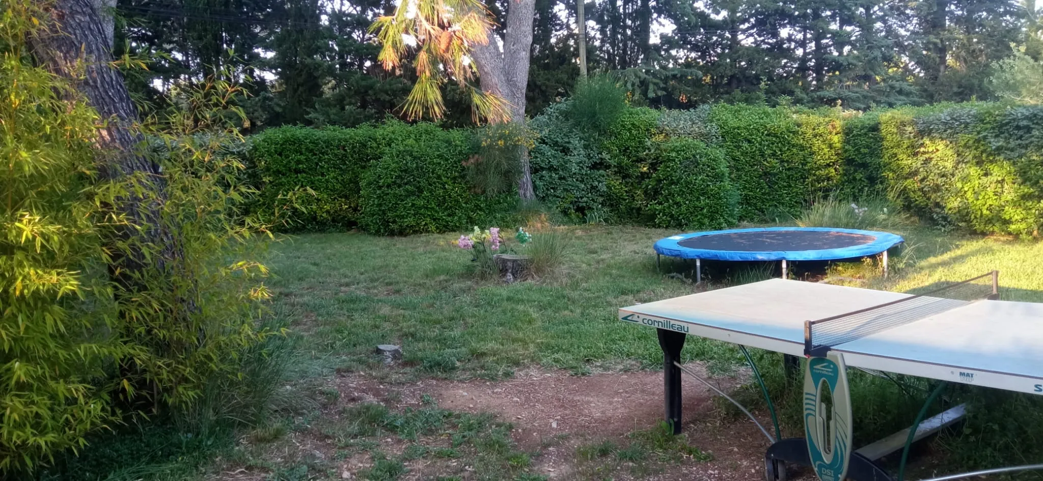 Jardin et terrasse extérieure