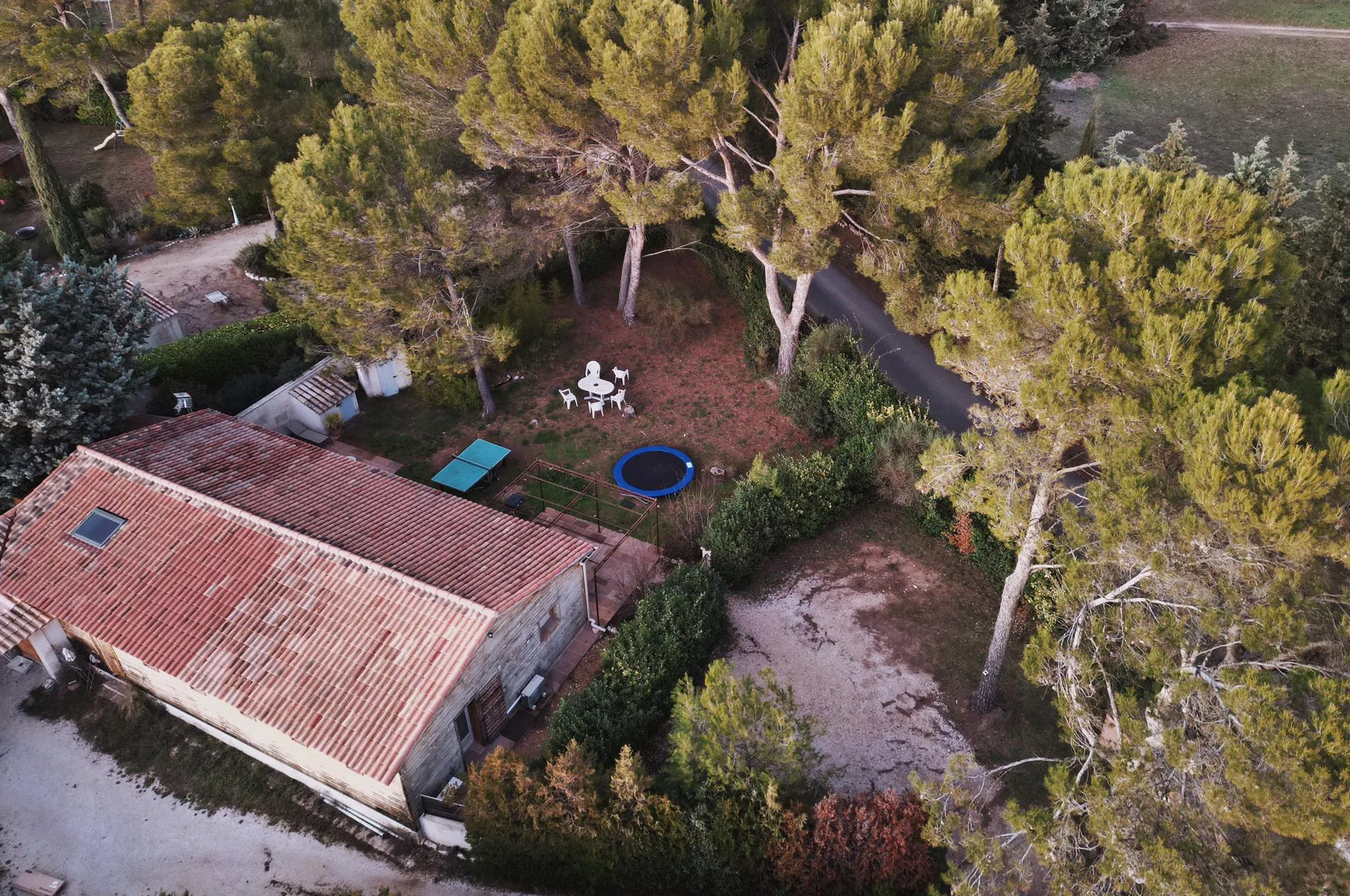 Vue aérienne du jardin de pins et de la maison