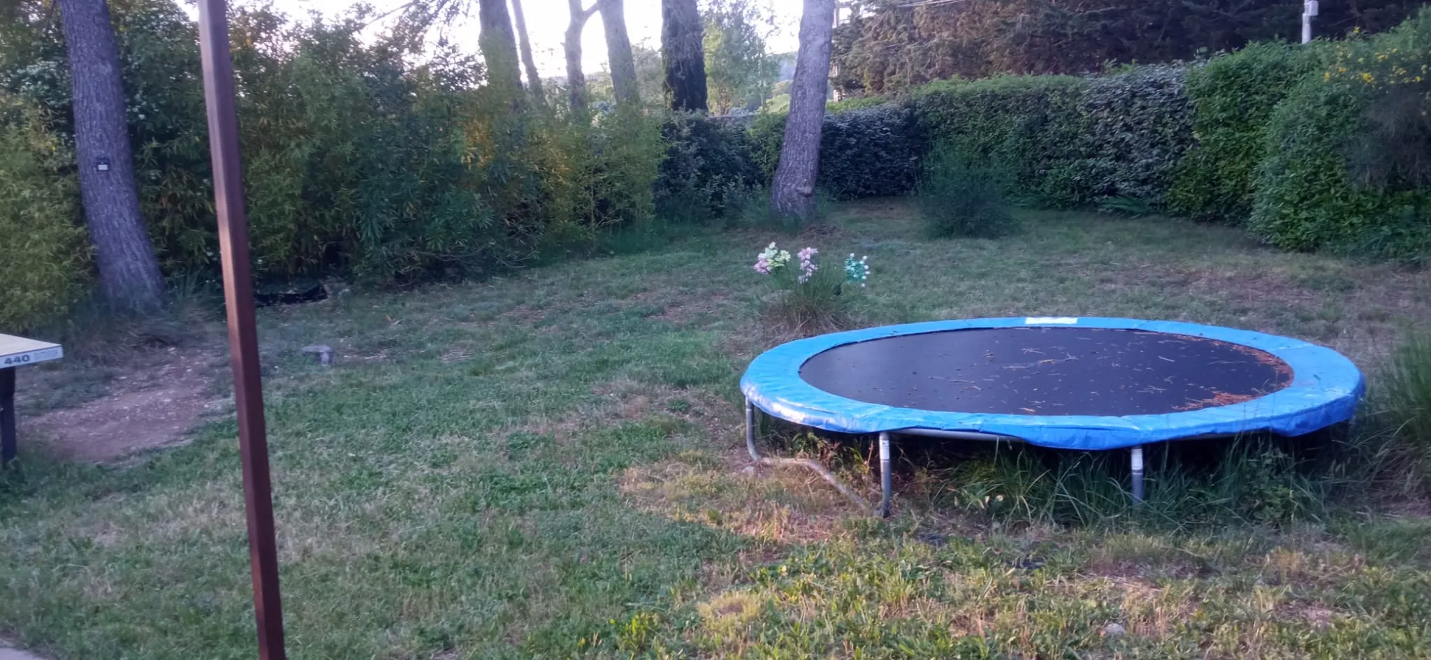 Terrasse et coin repas extérieur